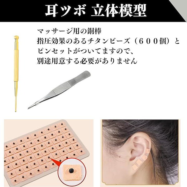 Qoo10] 耳ツボ 模型 立体模型 耳ツボ模型 耳つ