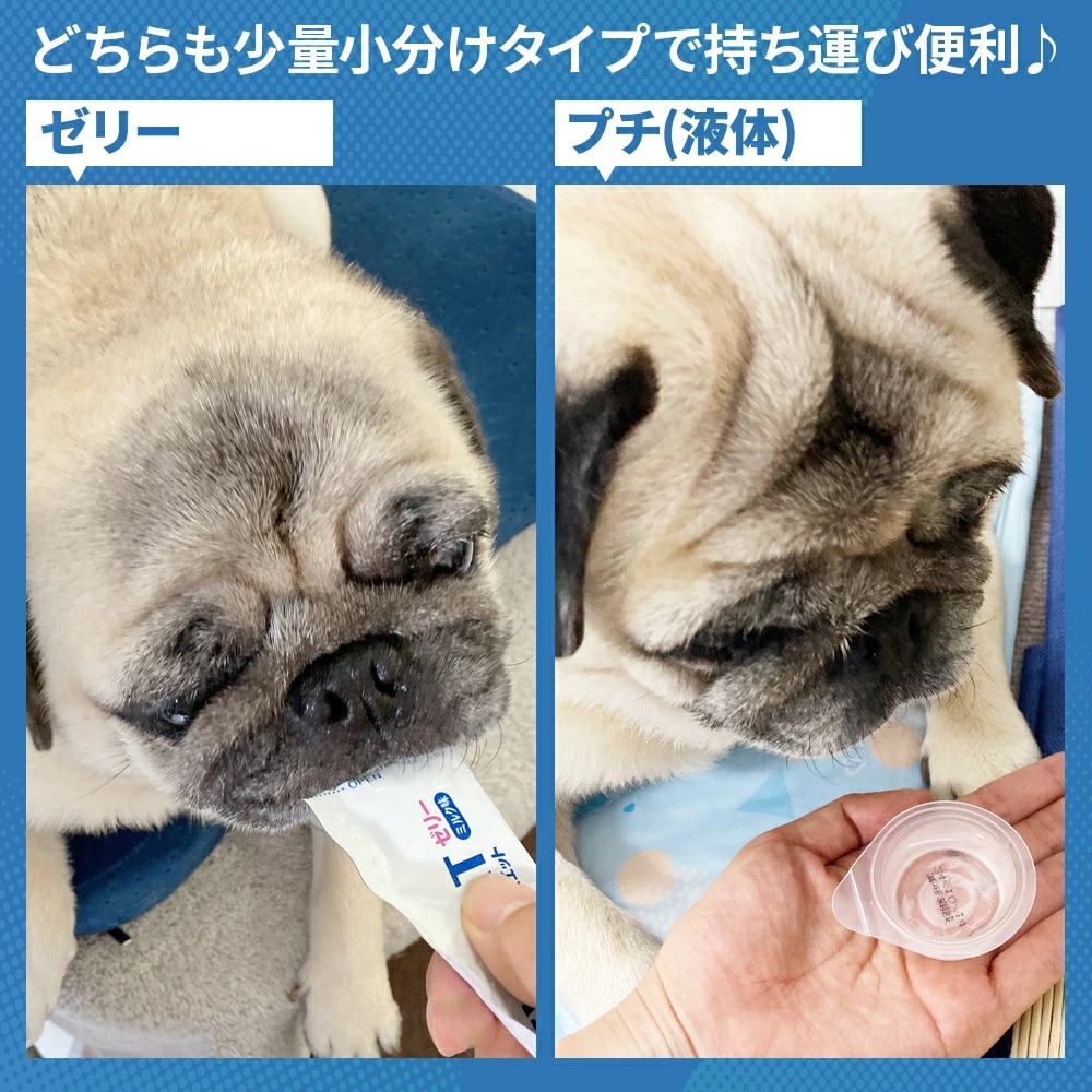 ペットスエット ゼリー 犬 20g7本入 15袋セット セット ミルク風味 栄養補完食 ペット 夏 水分 栄養 補給 暑い 健康維持 下部尿路 オリゴ糖 ラクトスクロース