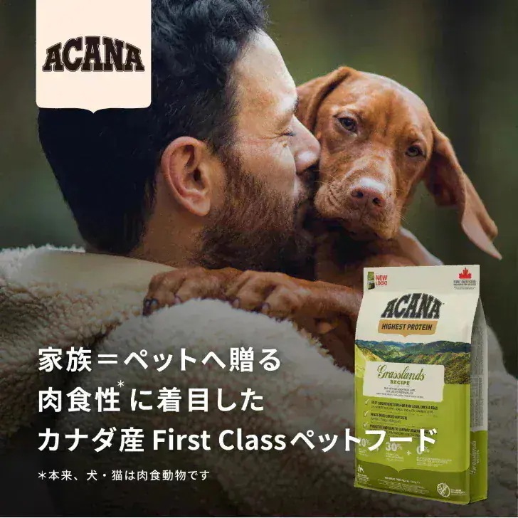 アカナ パシフィカキャット 340g 3袋セット　正規品 キャットフード ドライフード オールステージ 全猫種 全年齢 子猫 成猫 高齢猫 ペットフード ペット用品 ペット 健康管理 総合栄養食