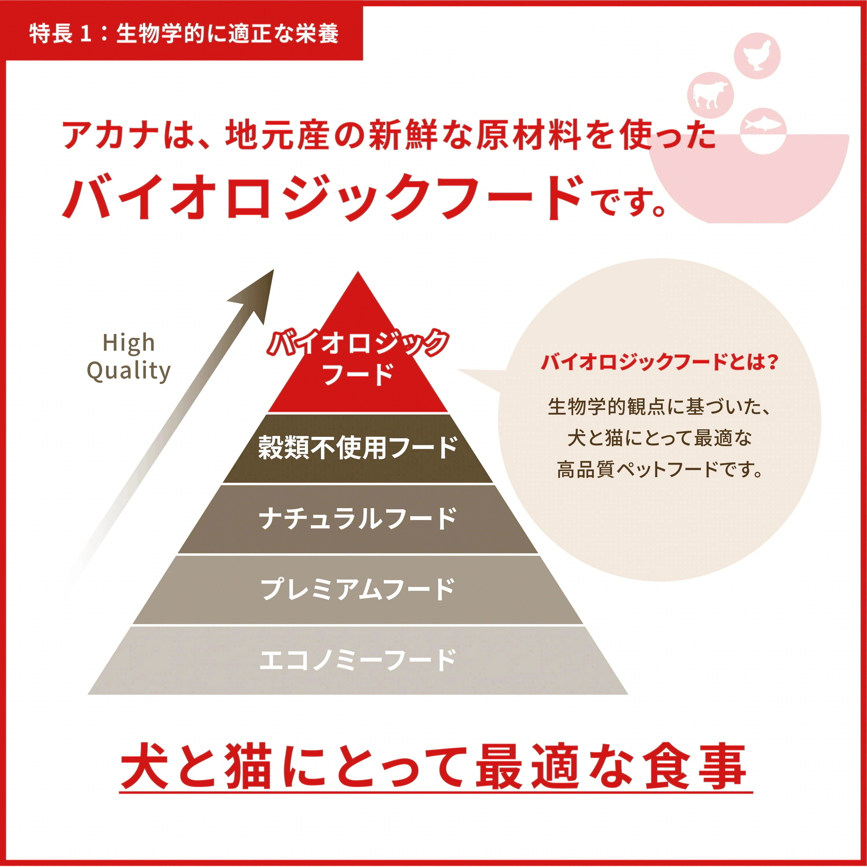 アカナ パシフィカキャット 340g 3袋セット　正規品 キャットフード ドライフード オールステージ 全猫種 全年齢 子猫 成猫 高齢猫 ペットフード ペット用品 ペット 健康管理 総合栄養食