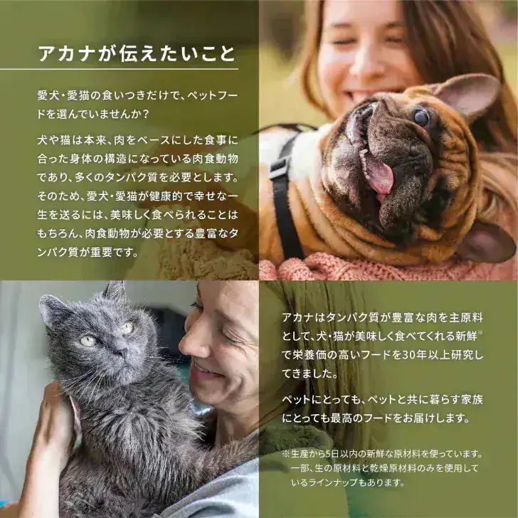 アカナ パシフィカキャット 340g 3袋セット　正規品 キャットフード ドライフード オールステージ 全猫種 全年齢 子猫 成猫 高齢猫 ペットフード ペット用品 ペット 健康管理 総合栄養食