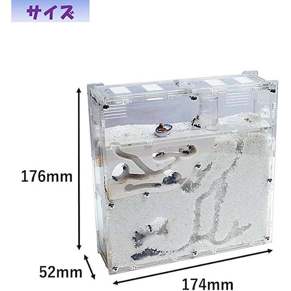 Qoo10] アリの巣観察キット 自由研究 昆虫採集セ