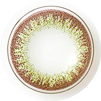 スターリーアース カジュアルオリーブ 30枚入り 2箱