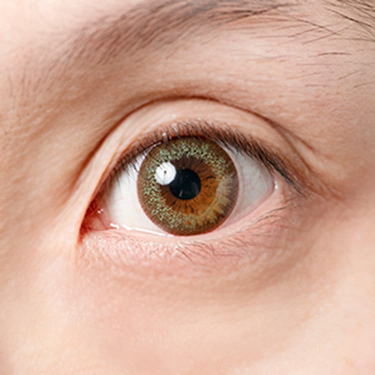 スターリーアース カジュアルオリーブ 30枚入り 2箱