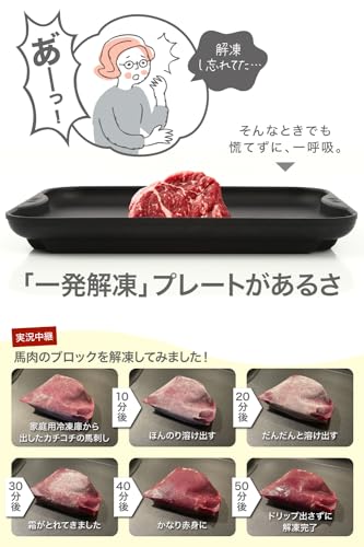 【 日本製 】 解凍プレート 解凍皿 [ IWANO ] 解凍時間を劇的に短縮 急速解凍 & 旨味も逃さない あら熱取りもできる コンパクトサイズ [一発解凍]プレート フッ素樹脂加工(汚れにくく洗い
