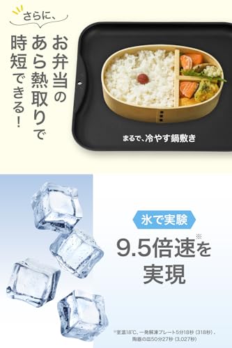 【 日本製 】 解凍プレート 解凍皿 [ IWANO ] 解凍時間を劇的に短縮 急速解凍 & 旨味も逃さない あら熱取りもできる コンパクトサイズ [一発解凍]プレート フッ素樹脂加工(汚れにくく洗い