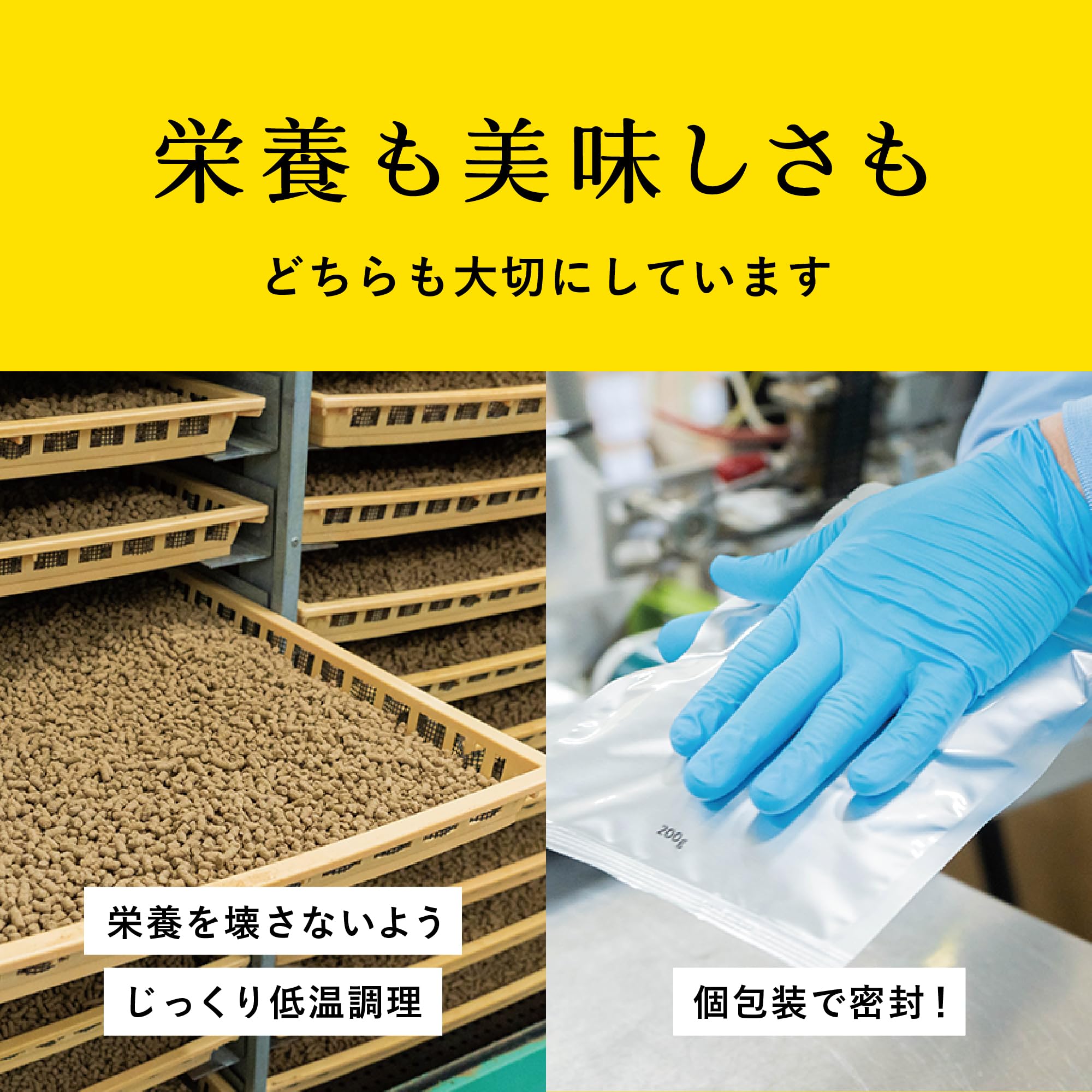 即日発送！ ドッグツリー ドッグフード 国産 無添加 馬肉と25種類のこだわり具材 小型犬用 600g(200g×3袋) 【100%生肉/緑イ貝/モリンガ/消化に良い/ノンオイル/小麦グルテンフリー】