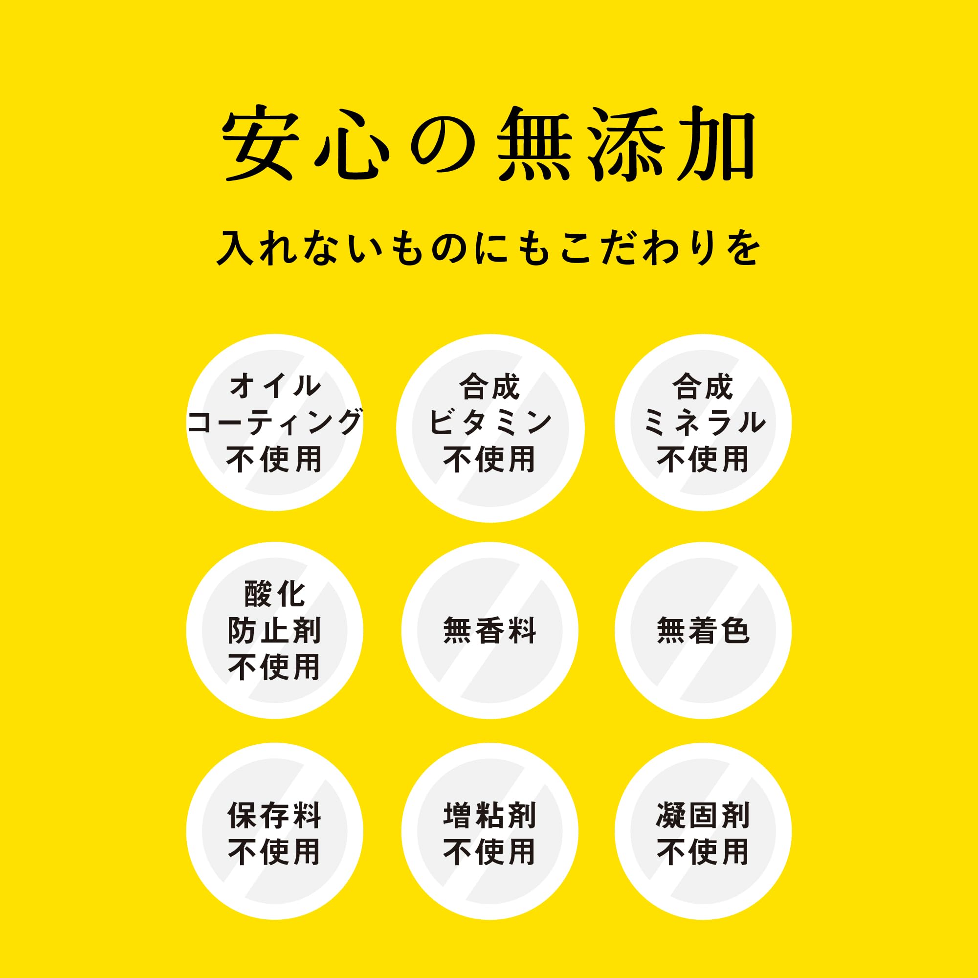 即日発送！ ドッグツリー ドッグフード 国産 無添加 馬肉と25種類のこだわり具材 小型犬用 600g(200g×3袋) 【100%生肉/緑イ貝/モリンガ/消化に良い/ノンオイル/小麦グルテンフリー】