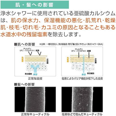 高評価定番 浄水ファインバブルシャワーセット ウルト : 日用品雑貨 高品質在庫
