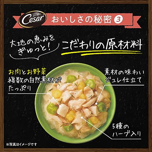 シーザー 自然素材レシピ 蒸しささみ・厳選ビーフ&パプリカ・いんげん 60g×160袋(ケース買い) ドッグフード 無添加 シーザー 自然素材レシピ 蒸しささみ・厳選ビーフ&パプリカ・いんげん 60g×160袋(ケース買い) ドッグフード 無添加