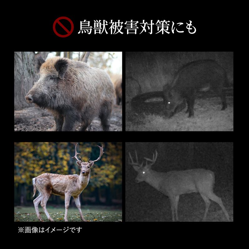 CMS-SC06BK トレイルカメラ