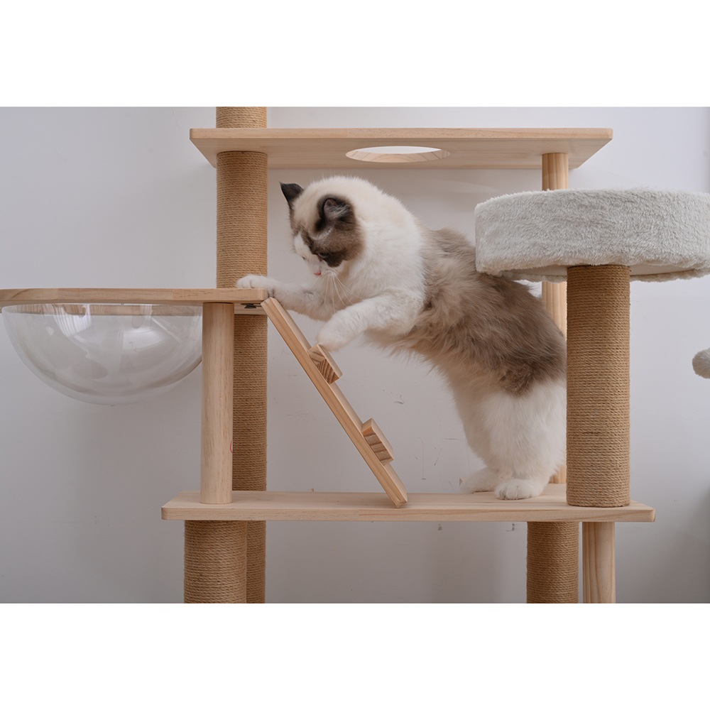 Umora 飛び込み台 壁に付着 木製 ねこに向く 2*20*24.5 DIY、工具 Umora 飛び込み台 壁に付着 木製 ねこに向く