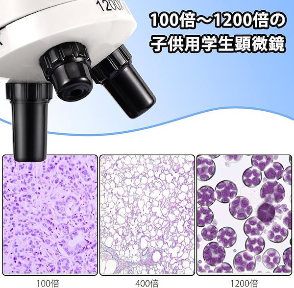 顕微鏡, 1200倍生物学的顕微鏡セット子供と学生の顕微鏡 で