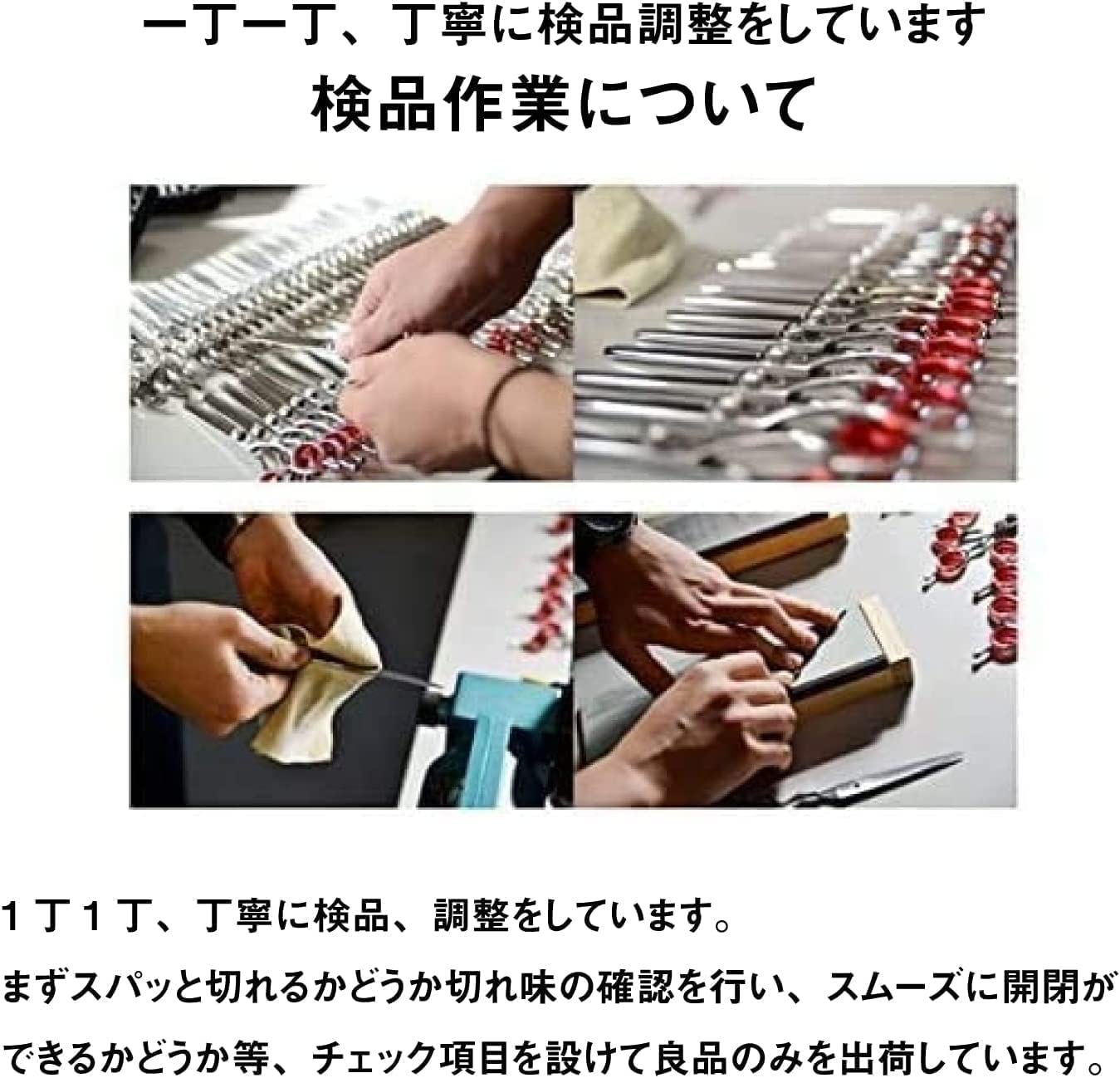 ｄｅｅｄｓ DEEDS 鍛造仕上げ ペット用はさみ トリミングシザー (6.0インチ) P1-60 日本の鋏専門メーカー トリマー 犬用