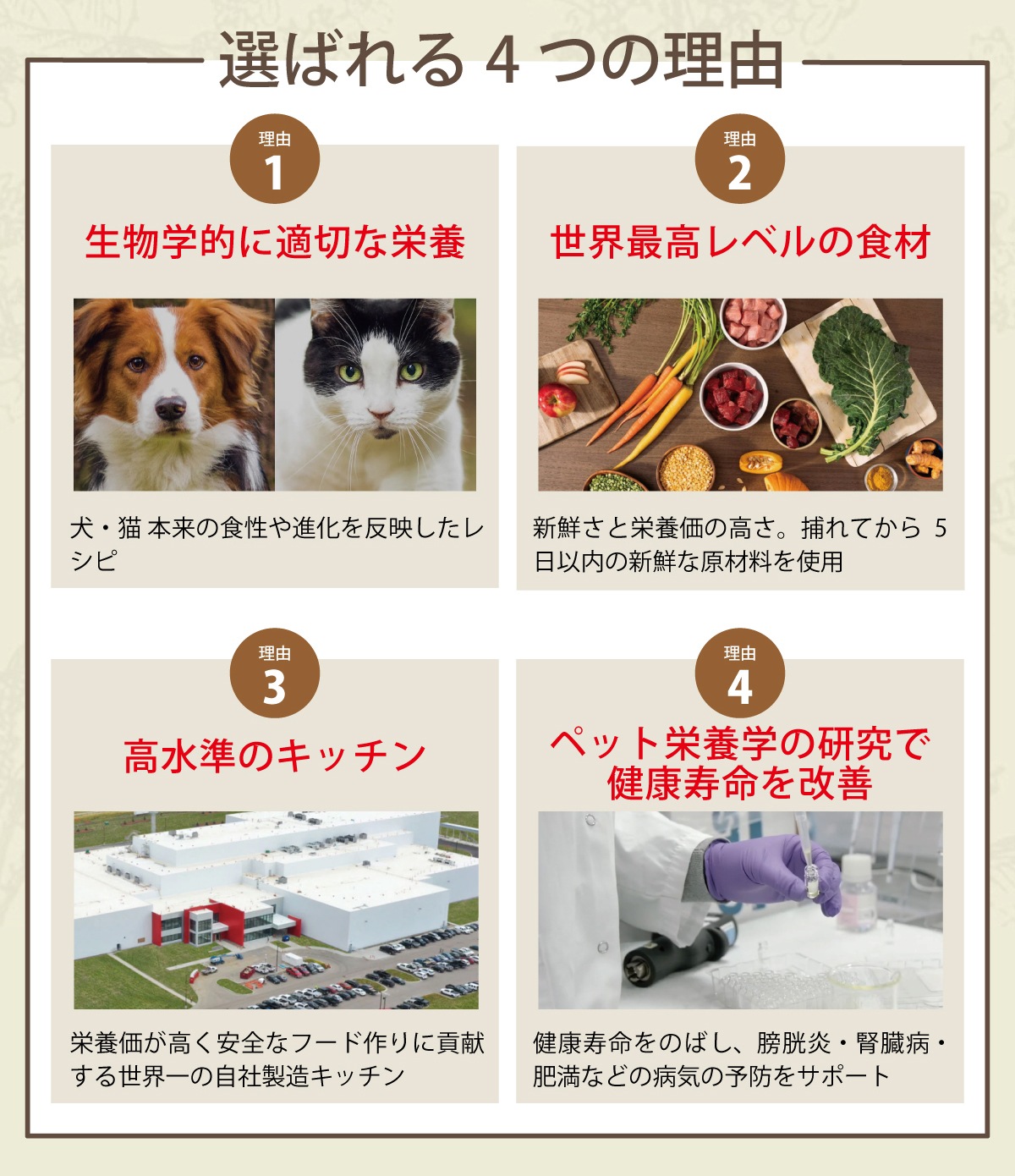 シングル グラスフェッドラム 6kg ドッグフード【国産鹿肉ジャーキースモールカット40g付き】 シングル グラスフェッドラム 6kg ドッグフード【国産鹿肉ジャーキースモールカット40g付き】