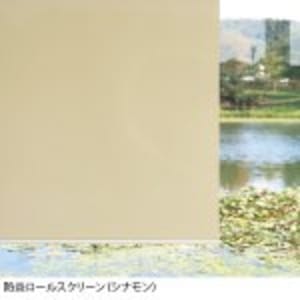 立川機工 防炎ロールスクリーンTR-3137 約W900×H1800mm シナモン 組立品