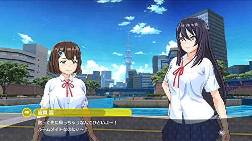 神田川jet Girls テレビゲーム 格安好評 Www Portdakar Sn