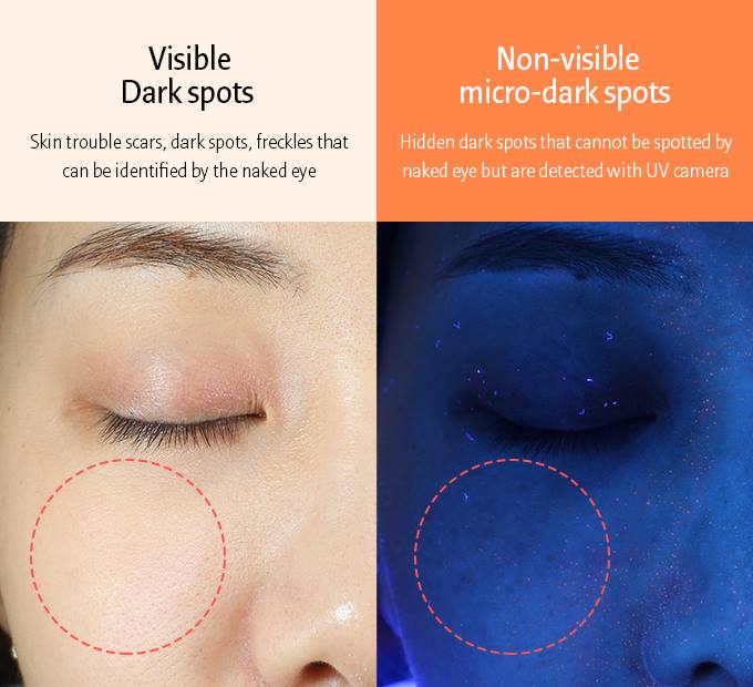 韓国超人気コスメLANEIGE ラディアン-Cクリームスキンケア化粧品トーンアップビューティーレディース 韓国超人気コスメLANEIGE ラディアン-Cクリームスキンケア化粧品トーンアップビューティーレディース