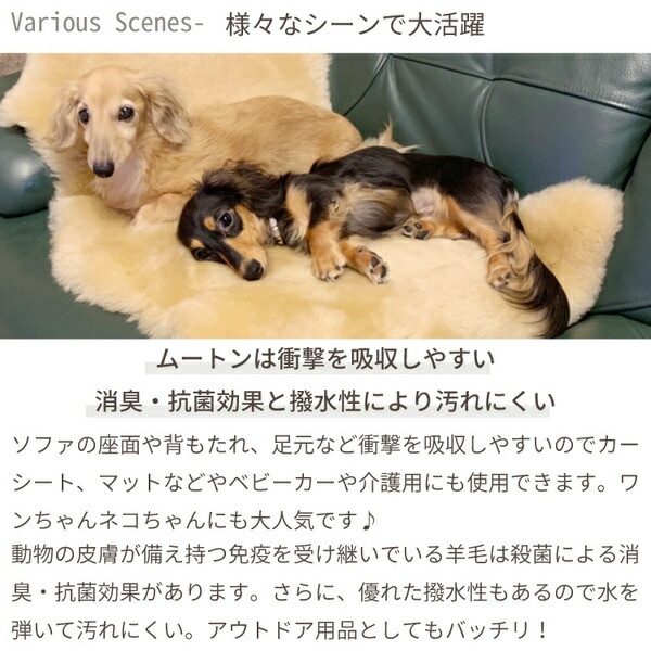 ムートンラグ 約130x160cm 6匹サイズ アイボリー