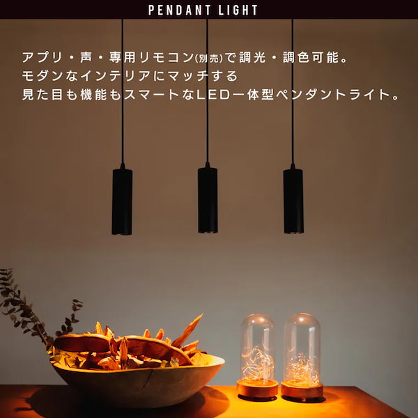 ご購入済み エジソンスマート スポットライト ビーム角調節タイプ ダクト