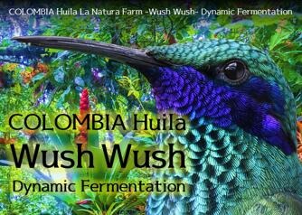 コーヒー生豆 1kg コロンビア ウイラ ラ ナチュラ農園 Wush Wush ダイナミックファーメンテーション 大山珈琲 コーヒー生豆 1kg コロンビア ウイラ ラ ナチュラ農園 Wush Wush ダイナミックファーメンテーション 大山珈琲