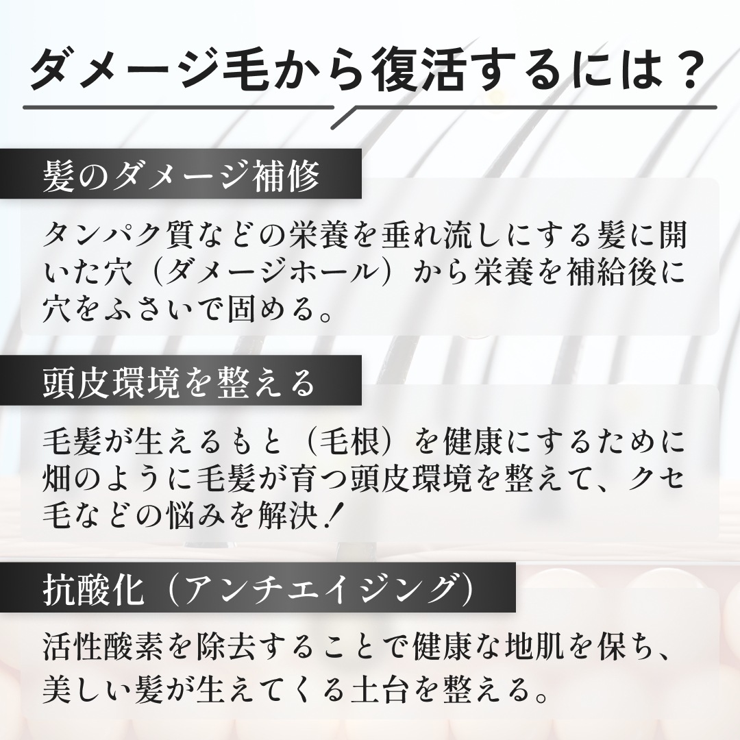 【公式】siilk シルクリペアシャンプーBB ボトル 280ml PPT サロン専売/ダメージケア補修/抜け毛/パサつき/枝毛/切れ毛/うねり/くせ毛/silkシャンプー/シルクシャンプー 【公式】siilk シルクリペアシャンプーBB ボトル 280ml PPT サロン専売/ダメージケア補修/抜け毛/パサつき/枝毛/切れ毛/うねり/くせ毛/silkシャンプー/シルクシャンプー