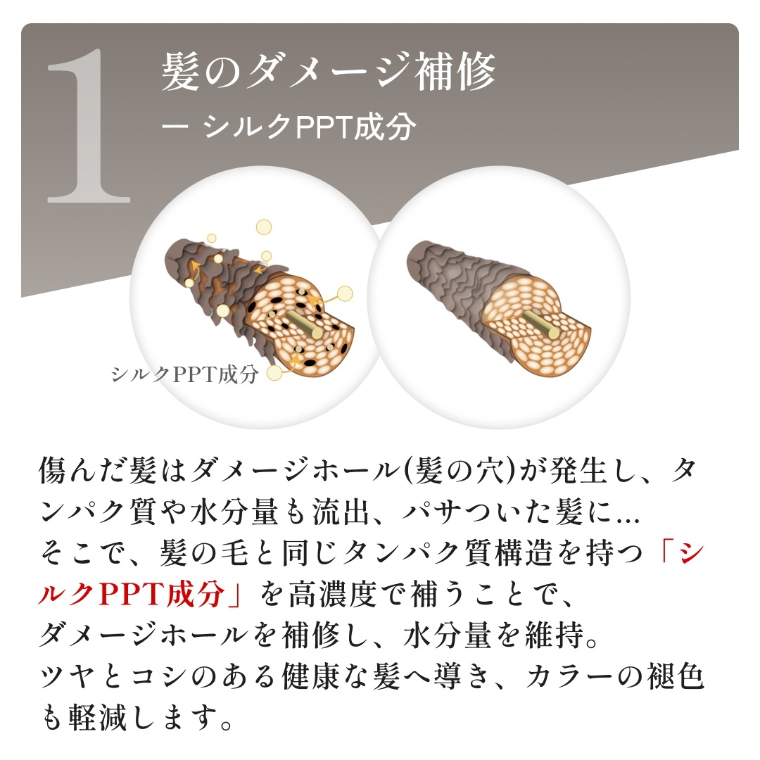 【公式】siilk シルクリペアシャンプーBB ボトル 280ml PPT サロン専売/ダメージケア補修/抜け毛/パサつき/枝毛/切れ毛/うねり/くせ毛/silkシャンプー/シルクシャンプー 【公式】siilk シルクリペアシャンプーBB ボトル 280ml PPT サロン専売/ダメージケア補修/抜け毛/パサつき/枝毛/切れ毛/うねり/くせ毛/silkシャンプー/シルクシャンプー