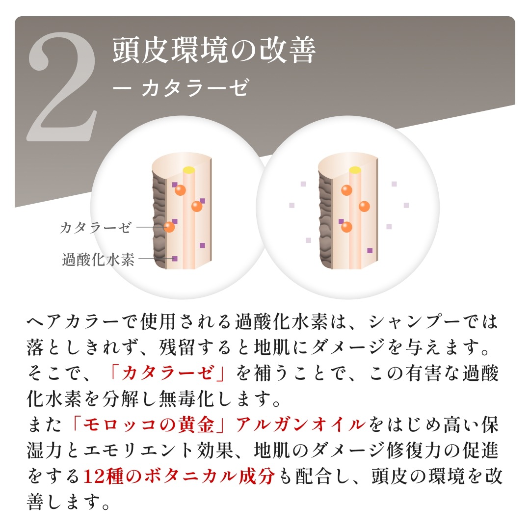 【公式】siilk シルクリペアシャンプーBB ボトル 280ml PPT サロン専売/ダメージケア補修/抜け毛/パサつき/枝毛/切れ毛/うねり/くせ毛/silkシャンプー/シルクシャンプー 【公式】siilk シルクリペアシャンプーBB ボトル 280ml PPT サロン専売/ダメージケア補修/抜け毛/パサつき/枝毛/切れ毛/うねり/くせ毛/silkシャンプー/シルクシャンプー