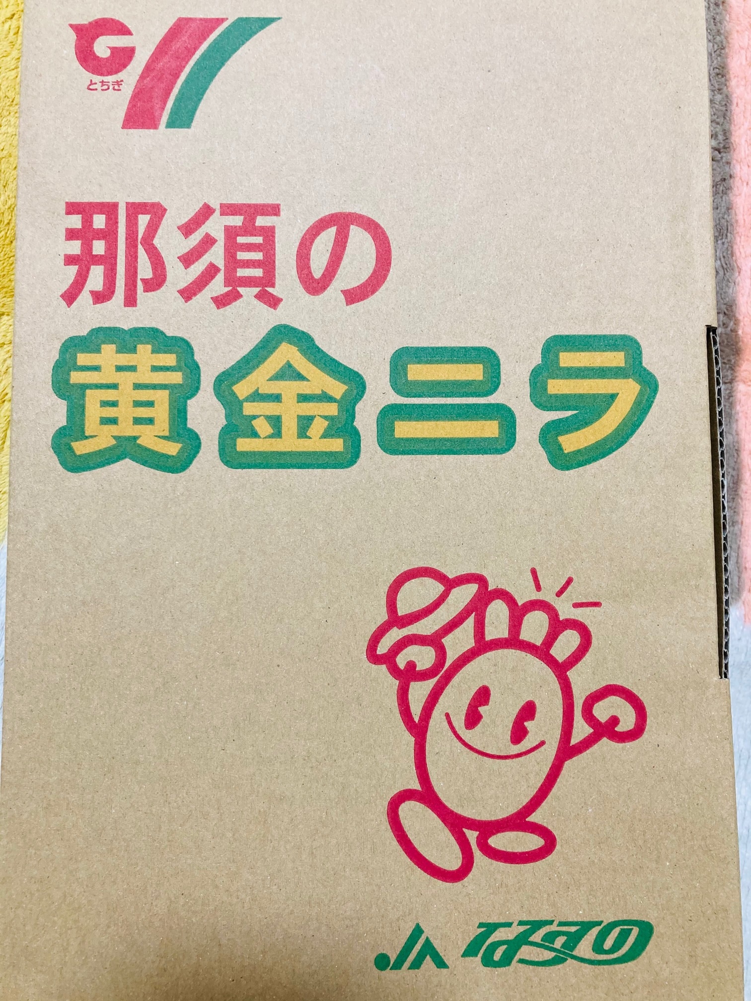 894円 69％以上節約 黄金ニラ 黄ニラ 250g 国産 ニラ にら 韮