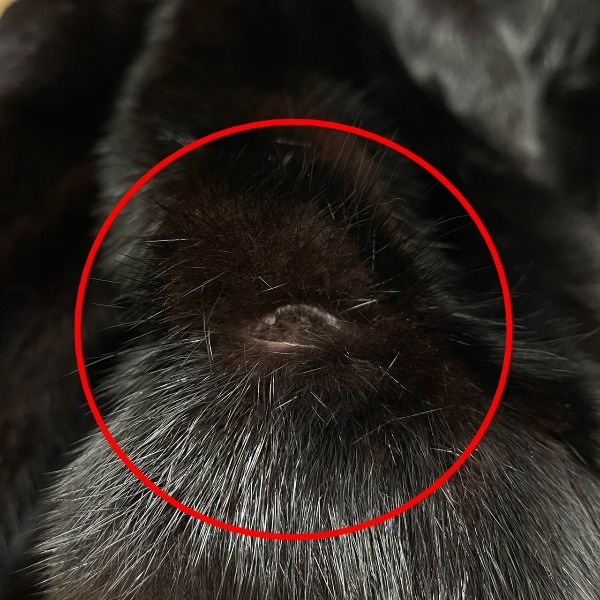サガミンク GUARANTEE OF QUALITY Superb Quality Ranched Mink 毛皮コート ブラック