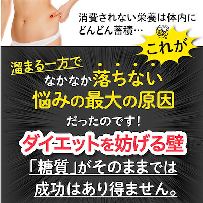 Qoo10] 母の葉薬品 ザ糖質プレミアムダイエット合計100粒パ : ダイエット