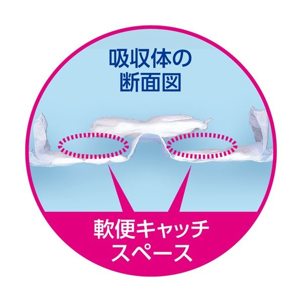 （まとめ）白十字 サルバ 安心Wフィット 強力吸収 テープ止め L 1パック（10枚）[x5] mdprevattcaulkingandwaterproofing.com