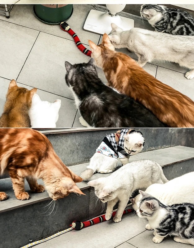 インタラクティブな猫のおもちゃ,自動スケルトン,スネーク,ティーチングプレイ,USB充電式,猫,犬,ペット用