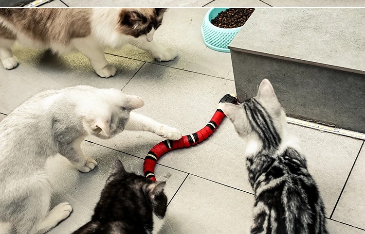 インタラクティブな猫のおもちゃ,自動スケルトン,スネーク,ティーチングプレイ,USB充電式,猫,犬,ペット用