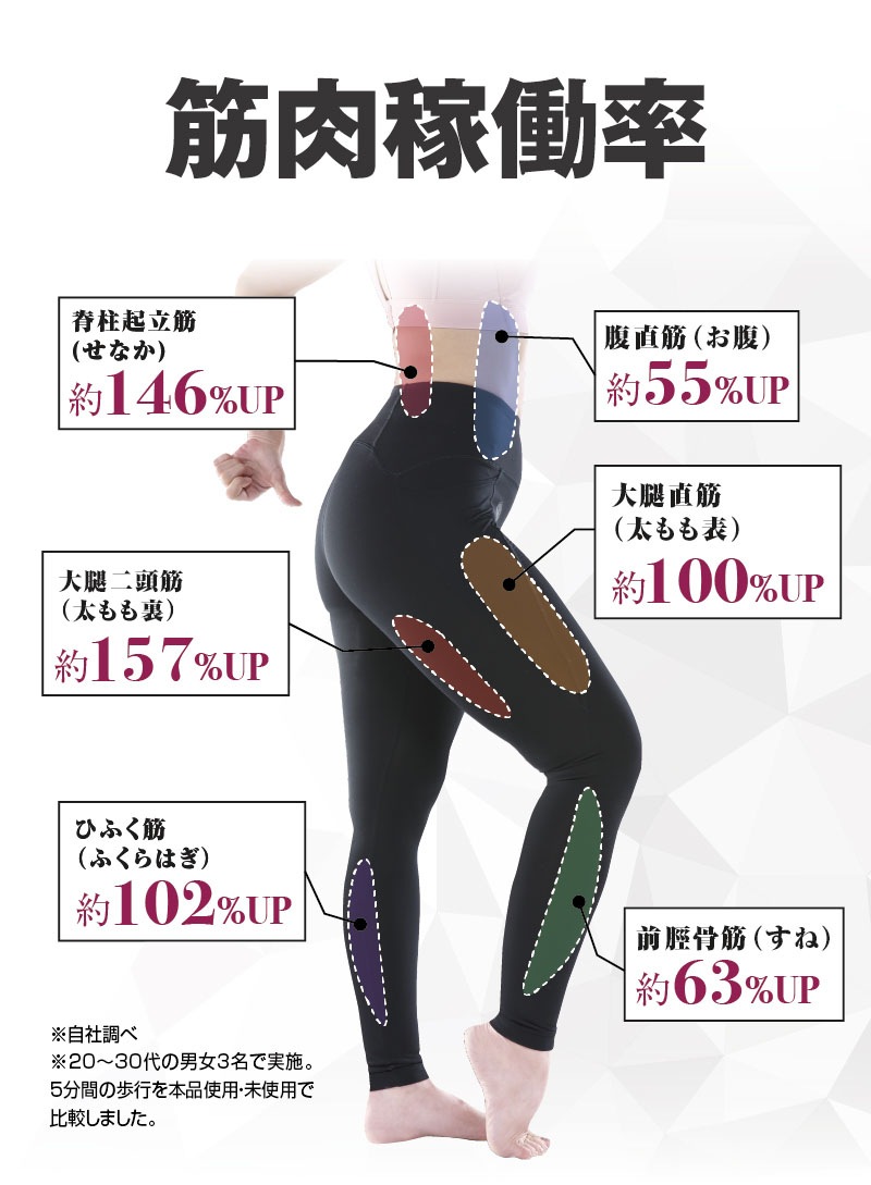 【お得!3個セット】 体幹筋エクササイズインソール ツインボール 【体幹体幹エクササイズ インソール靴 極薄素材 滑り止め】【ウォーキング バランス 筋力UP カロリー消費 O脚】 アーチサポート 【お得!3個セット】 体幹筋エクササイズインソール ツインボール 【体幹体幹エクササイズ インソール靴 極薄素材 滑り止め】【ウォーキング バランス 筋力UP カロリー消費 O脚】 アーチサポート