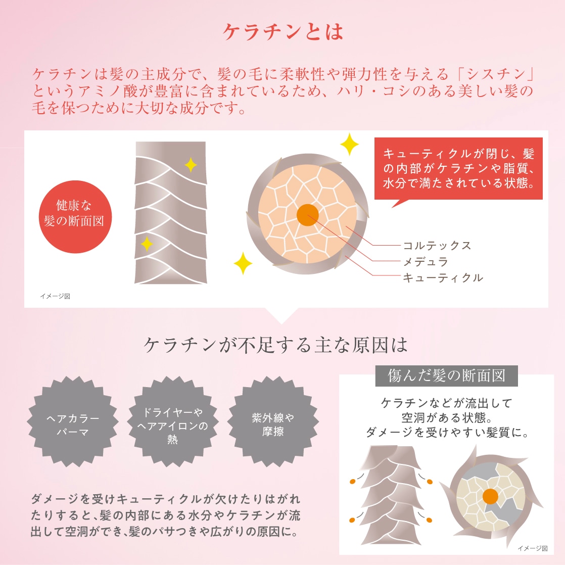 Qoo10] イズム ｸｰﾎﾟﾝでお得 シャンプー トリートメ