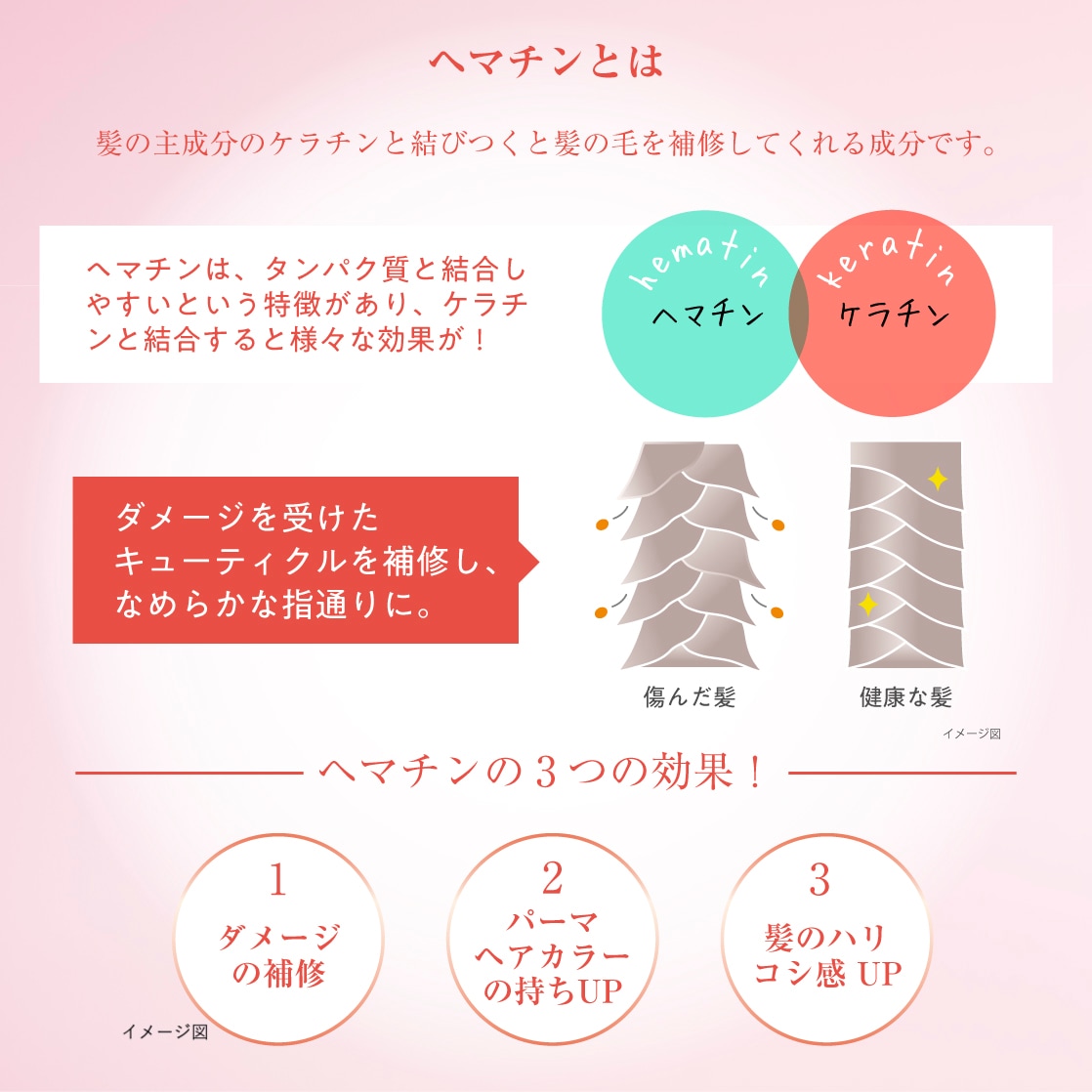 Qoo10] イズム ｸｰﾎﾟﾝでお得 シャンプー トリートメ