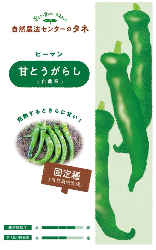 甘とうがらし 国内育成 採取 家庭菜園 種 タネ ピーマン シシトウ 野菜