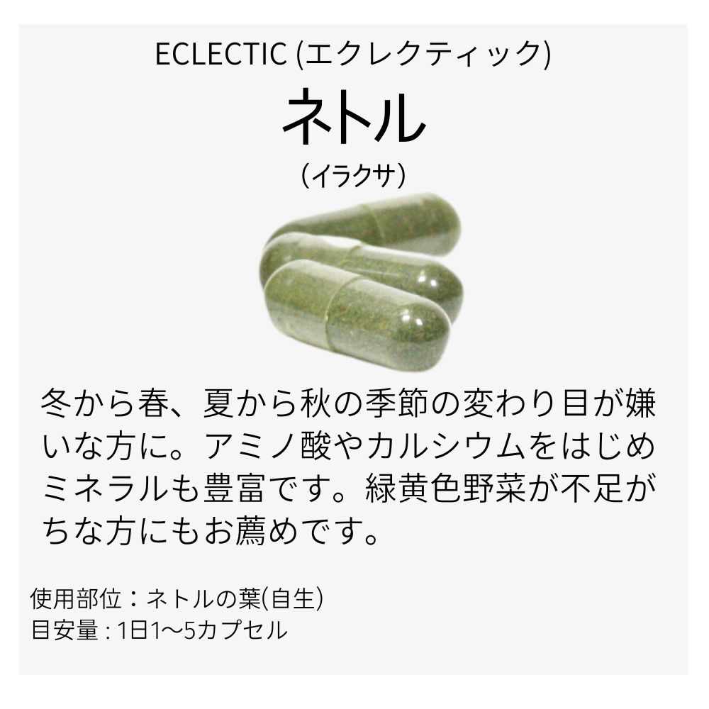 ネトル サプリ FFD 180カプセル エコパックネットルイラクサ刺草花粉エクレクティック研究所ECLECTICメディカルハーブサプリメントネトル ハーブネトルサプリメントゆうメー ネトル サプリ FFD 180カプセル エコパックネットルイラクサ刺草花粉エクレクティック研究所ECLECTICメディカルハーブサプリメントネトル ハーブネトルサプリメントゆうメー