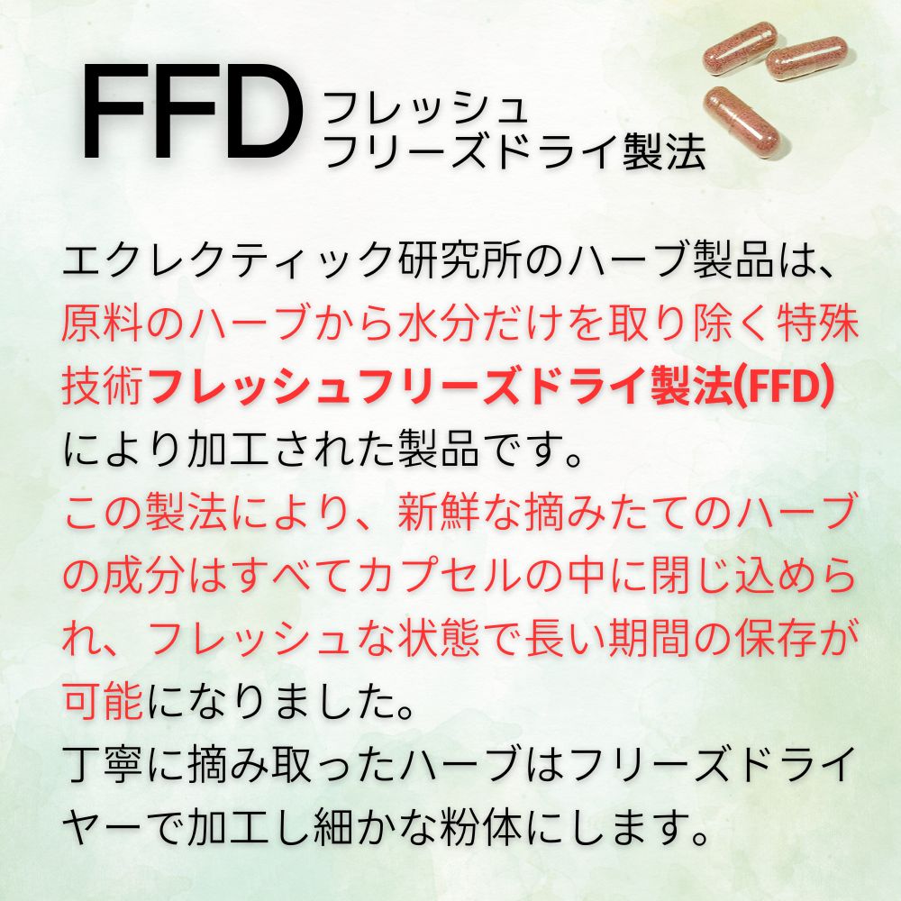 ネトル サプリ FFD 180カプセル エコパックネットルイラクサ刺草花粉エクレクティック研究所ECLECTICメディカルハーブサプリメントネトル ハーブネトルサプリメントゆうメー ネトル サプリ FFD 180カプセル エコパックネットルイラクサ刺草花粉エクレクティック研究所ECLECTICメディカルハーブサプリメントネトル ハーブネトルサプリメントゆうメー