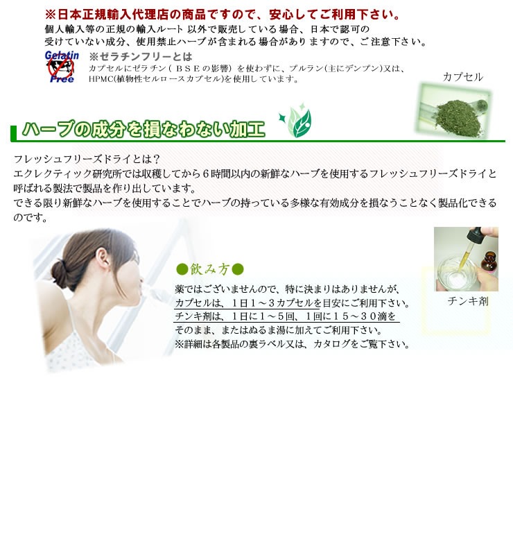 ネトル サプリ FFD 180カプセル エコパックネットルイラクサ刺草花粉エクレクティック研究所ECLECTICメディカルハーブサプリメントネトル ハーブネトルサプリメントゆうメー ネトル サプリ FFD 180カプセル エコパックネットルイラクサ刺草花粉エクレクティック研究所ECLECTICメディカルハーブサプリメントネトル ハーブネトルサプリメントゆうメー