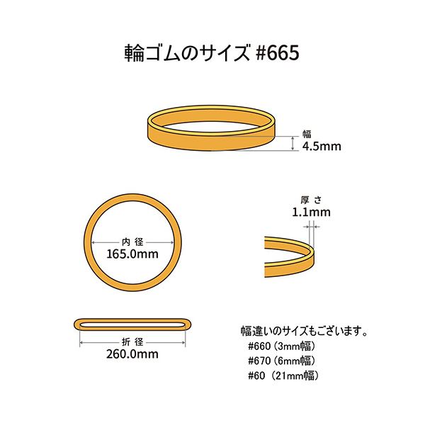 共和 オーバンド#665 内径165mm 500g入 透明袋 GSA-N-011 1袋