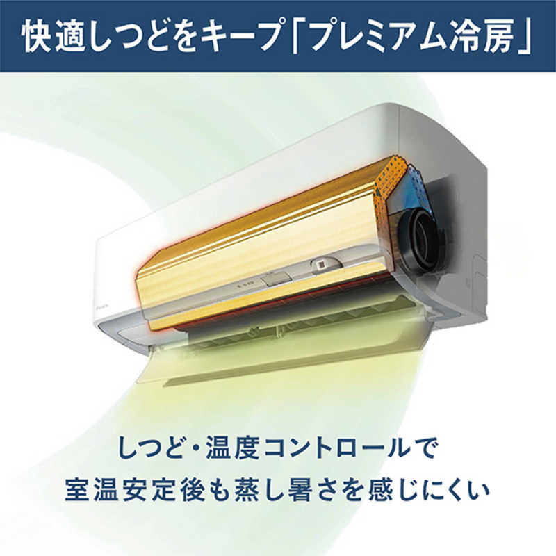 （標準取付工事費込）ダイキン　DAIKIN　エアコン おもに20畳用 うるさらX RBKシリーズ 「フィルター自動お掃除機能付」　AN634ARBKP-W