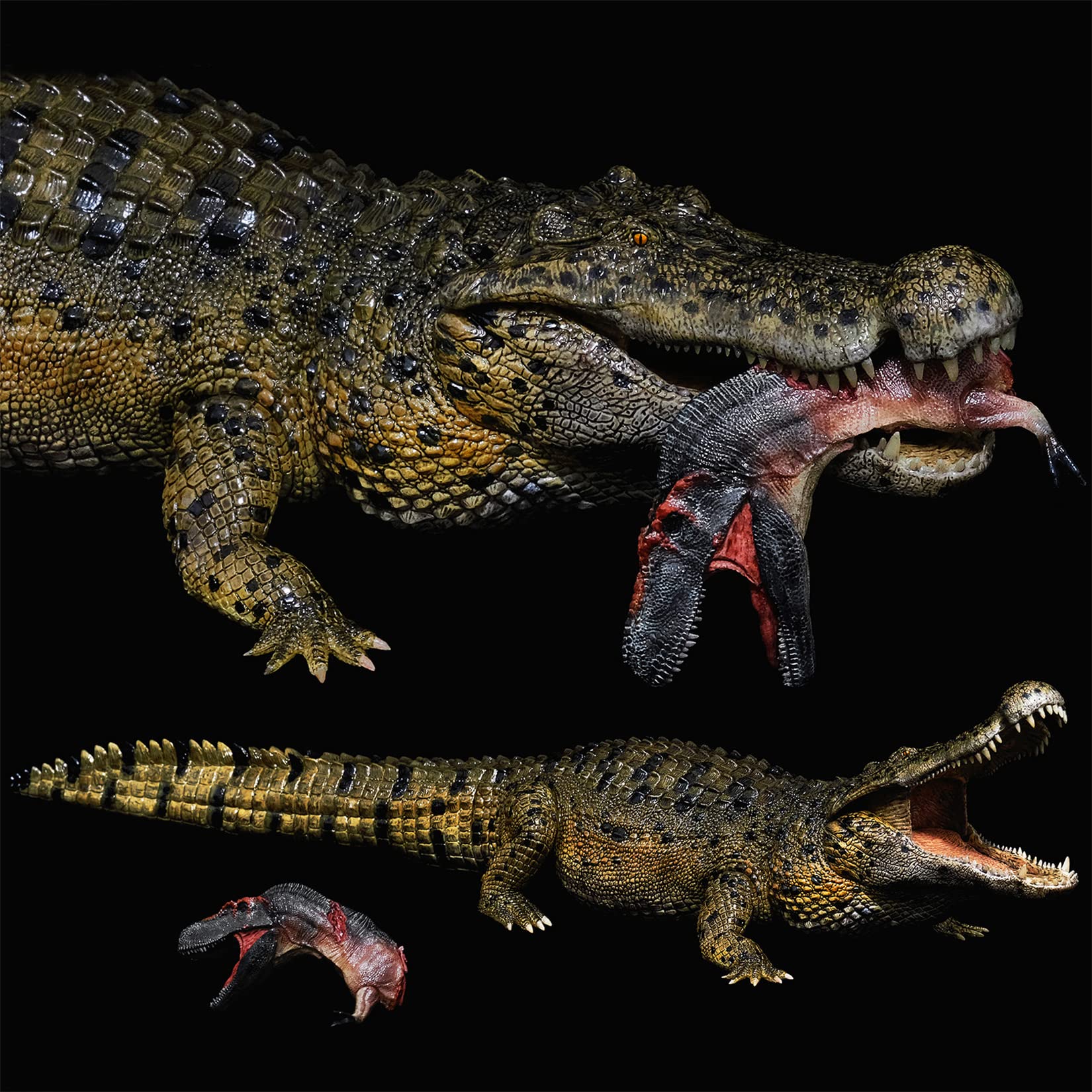 REBOR 1/35 サイズ ワニ アパラチオサウルス 獣脚類 恐竜 動物 フィギュア 模型 情景 セット プラモデル 大人 おもちゃ オブジェ 置物 プレゼント 完成品 45cm REBOR 1/35 サイズ ワニ アパラチオサウルス 獣脚類 恐竜 動物 フィギュア 模型 情景 セット プラモデル 大人 おもちゃ オブジェ 置物 プレゼント 完成品 45cm