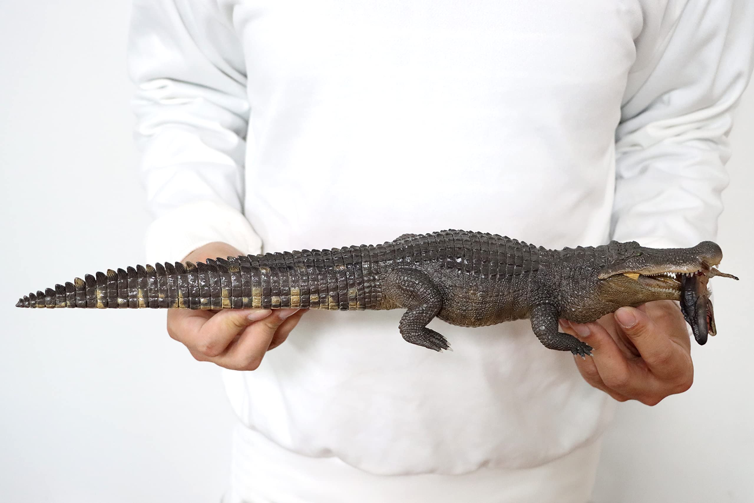 REBOR 1/35 サイズ ワニ アパラチオサウルス 獣脚類 恐竜 動物 フィギュア 模型 情景 セット プラモデル 大人 おもちゃ オブジェ 置物 プレゼント 完成品 45cm REBOR 1/35 サイズ ワニ アパラチオサウルス 獣脚類 恐竜 動物 フィギュア 模型 情景 セット プラモデル 大人 おもちゃ オブジェ 置物 プレゼント 完成品 45cm