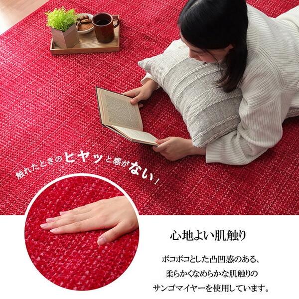 珊瑚マイヤ ラグマット/絨毯 グリーン 約185185cm 正方形 洗える 防滑 床暖房ホットカーペット対応 リビング