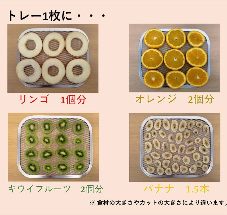 東明テック TTM-270BL 家庭用食品乾燥機　ブルー TTM270BL