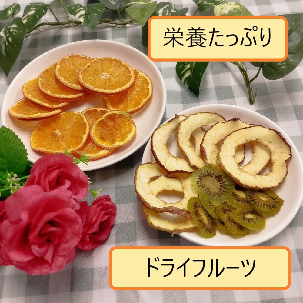 東明テック TTM-270BL 家庭用食品乾燥機　ブルー TTM270BL