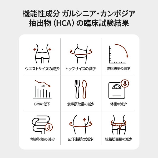 Qoo10] セリボックス セリカット プレッソV2 100包 2箱