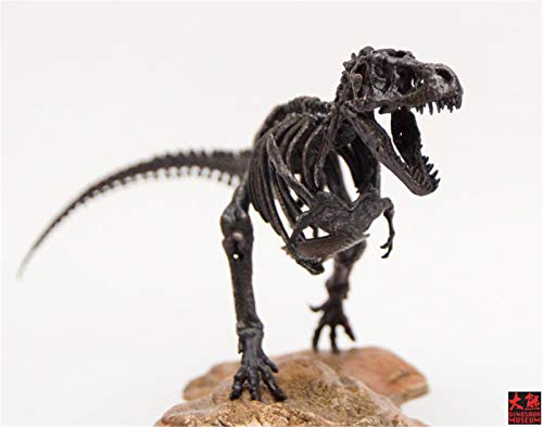 1/72 ティラノサウルス Tレックス T-REX 恐竜 骨格 リアル フィギュア PVC プラモデル おもちゃ 模型 プレゼント プレミアム 15cm級 オリジナル 塗装済 完成品 台座付き
